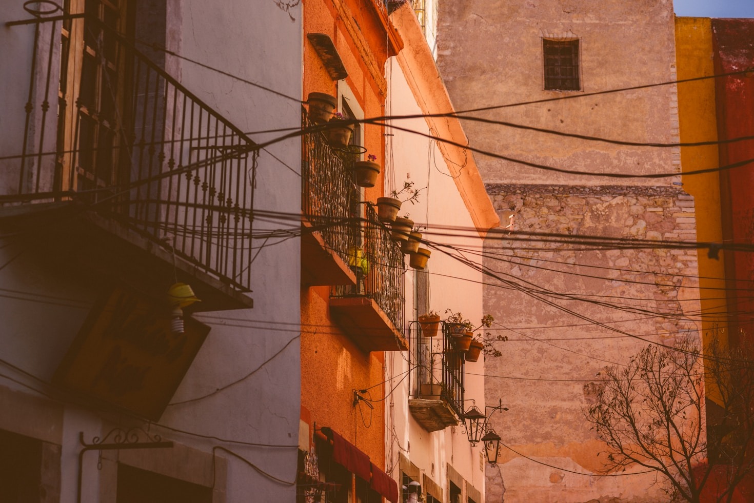 El impacto de la desinformación en la comunidad guanajuatense